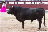 http://www.las-ventas.com/cronicas2014/0602/objetivo/minis/toro2.jpg