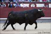 http://www.las-ventas.com/cronicas2014/0602/objetivo/minis/toro3.jpg