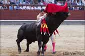 http://www.las-ventas.com/cronicas2014/0602/objetivo/minis/t1005.jpg