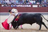 http://www.las-ventas.com/cronicas2014/0602/objetivo/minis/t1007.jpg