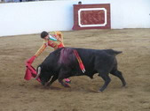 Hernández Vallecillo