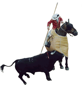 Toro de Celestino Cuadri en Valverde del Camino -2003- Foto: Eduardo Bernal Herrera